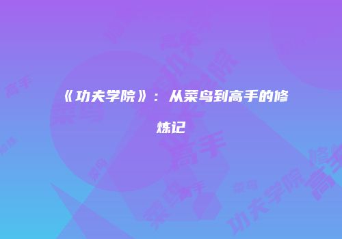 《功夫学院》：从菜鸟到高手的修炼记