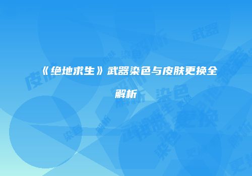 《绝地求生》武器染色与皮肤更换全解析