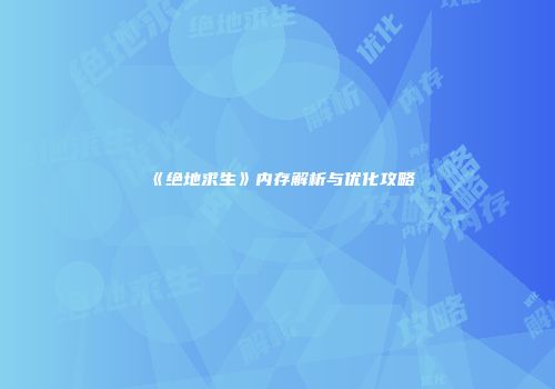 《绝地求生》内存解析与优化攻略