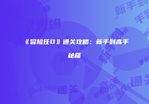 《冒险任D》通关攻略：新手到高手秘籍