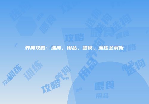 养狗攻略：选狗、用品、喂食、训练全解析