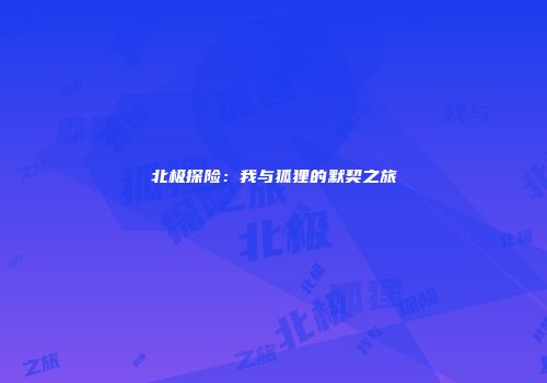 北极探险：我与狐狸的默契之旅