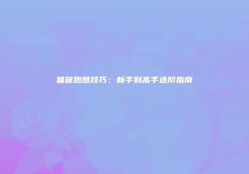 猫咪跑酷技巧：新手到高手进阶指南