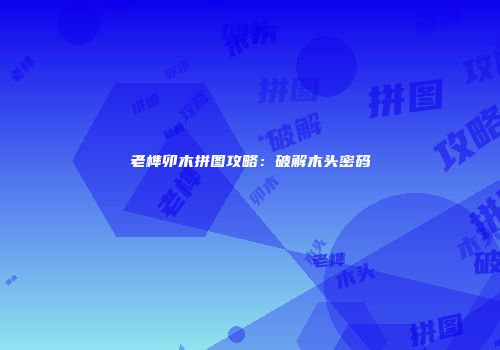 老榫卯木拼图攻略：破解木头密码