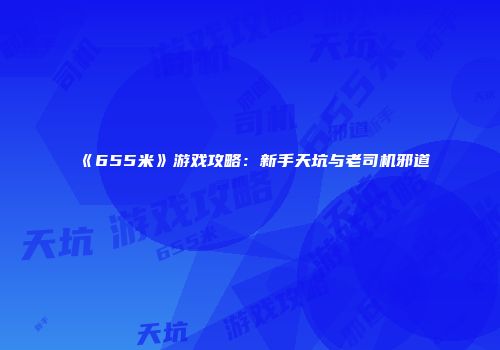《655米》游戏攻略：新手天坑与老司机邪道