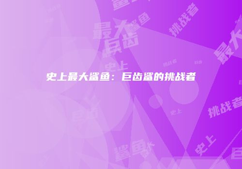 史上最大鲨鱼：巨齿鲨的挑战者