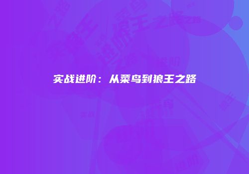 实战进阶：从菜鸟到狼王之路