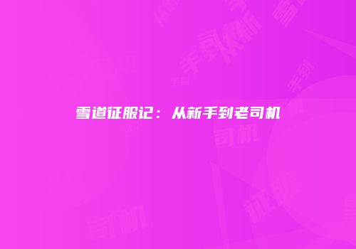 雪道征服记：从新手到老司机