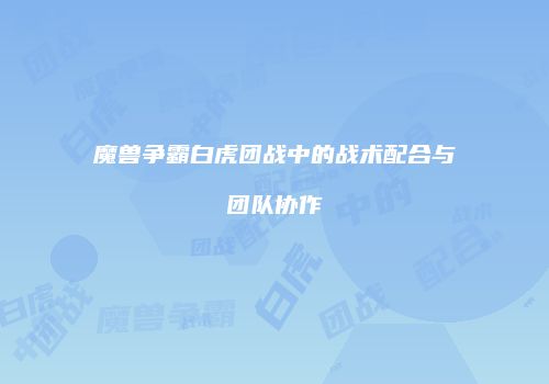 魔兽争霸白虎团战中的战术配合与团队协作