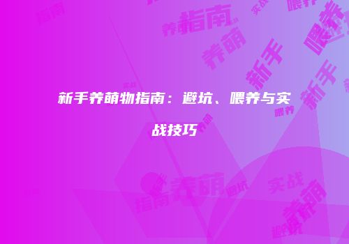 新手养萌物指南：避坑、喂养与实战技巧