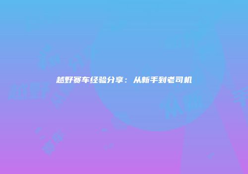 越野赛车经验分享：从新手到老司机