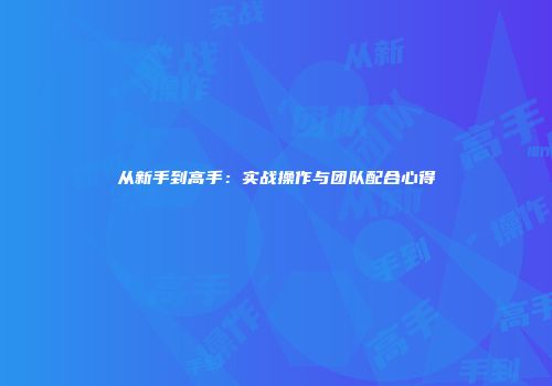 从新手到高手：实战操作与团队配合心得