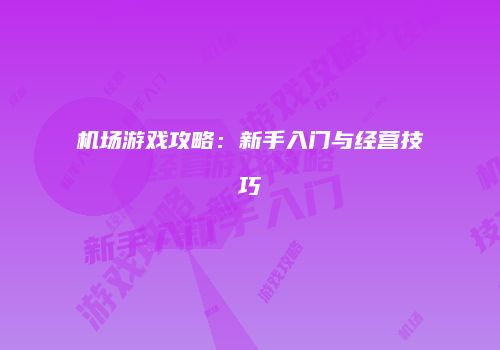 机场游戏攻略：新手入门与经营技巧