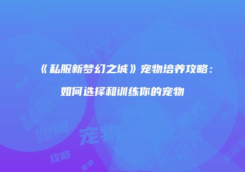 《私服新梦幻之城》宠物培养攻略：如何选择和训练你的宠物