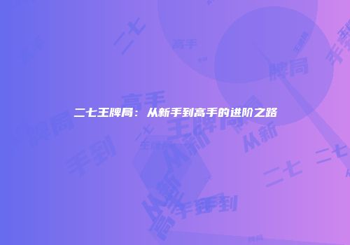 二七王牌局：从新手到高手的进阶之路