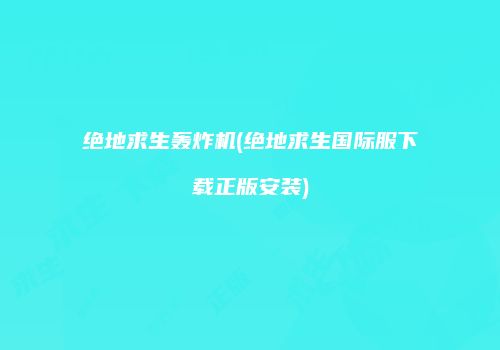 绝地求生轰炸机(绝地求生国际服下载正版安装)