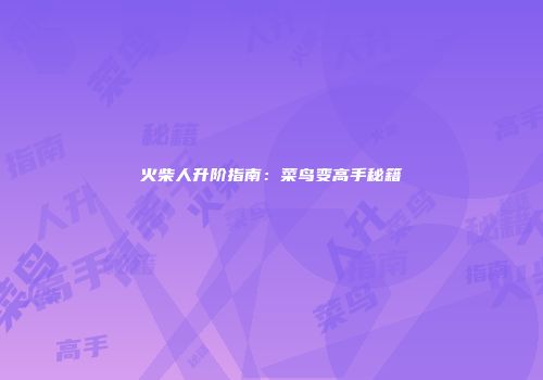 火柴人升阶指南：菜鸟变高手秘籍