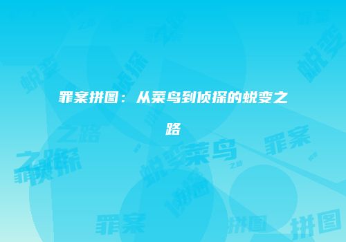 罪案拼图：从菜鸟到侦探的蜕变之路