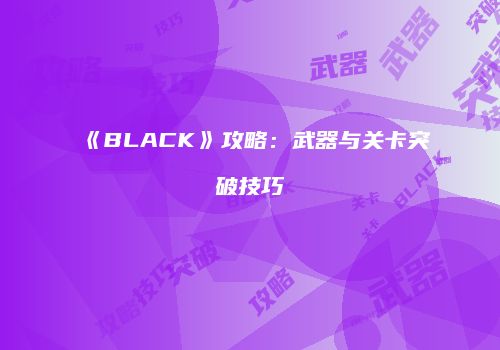 《BLACK》攻略：武器与关卡突破技巧