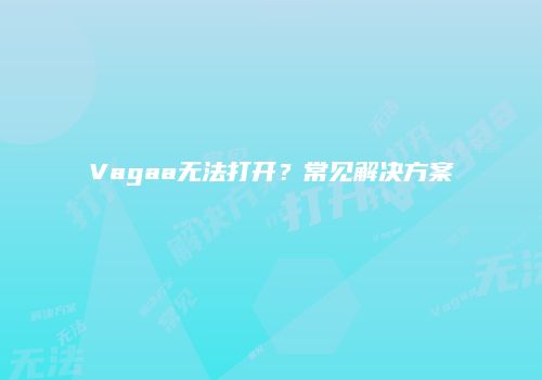 Vagaa无法打开？常见解决方案