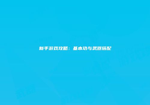新手游戏攻略：基本功与武器搭配