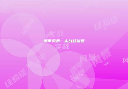 钢甲风暴：实战经验谈