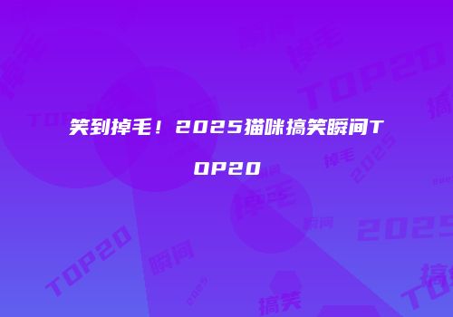 笑到掉毛！2025猫咪搞笑瞬间TOP20