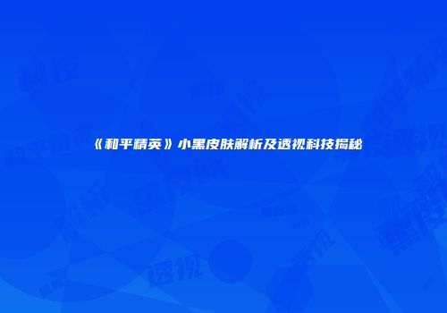 《和平精英》小黑皮肤解析及透视科技揭秘