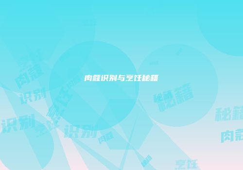 肉蔻识别与烹饪秘籍
