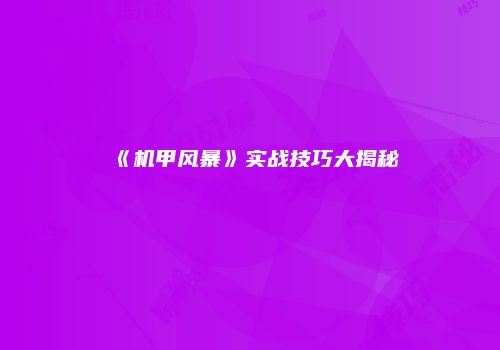 《机甲风暴》实战技巧大揭秘