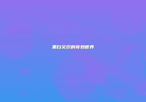 黑白交织的奇妙世界