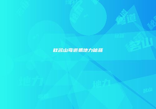 秋名山弯道抓地力秘籍