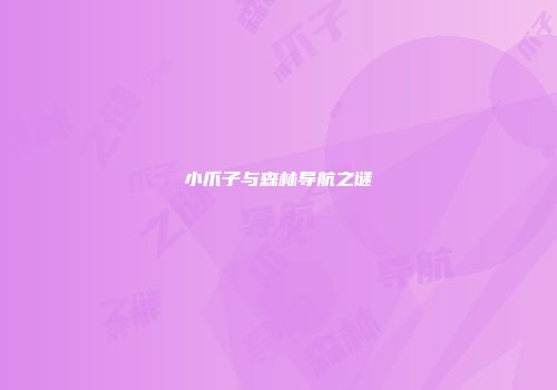 小爪子与森林导航之谜