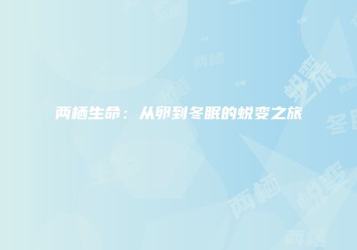 两栖生命：从卵到冬眠的蜕变之旅