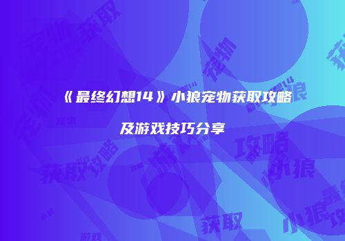 《最终幻想14》小狼宠物获取攻略及游戏技巧分享