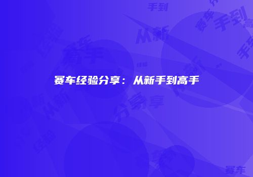赛车经验分享：从新手到高手