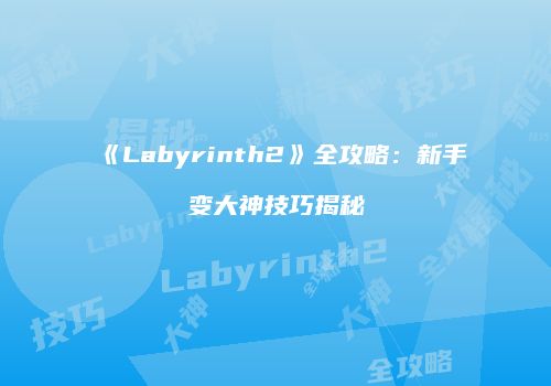 《Labyrinth2》全攻略：新手变大神技巧揭秘