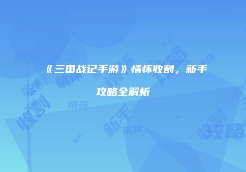 《三国战记手游》情怀收割，新手攻略全解析