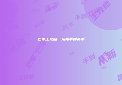 巴掌王攻略：从新手到高手