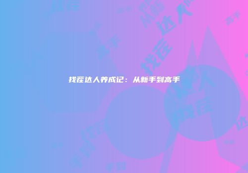 找茬达人养成记：从新手到高手