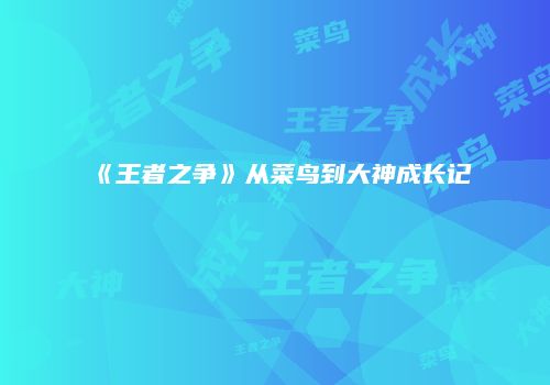 《王者之争》从菜鸟到大神成长记