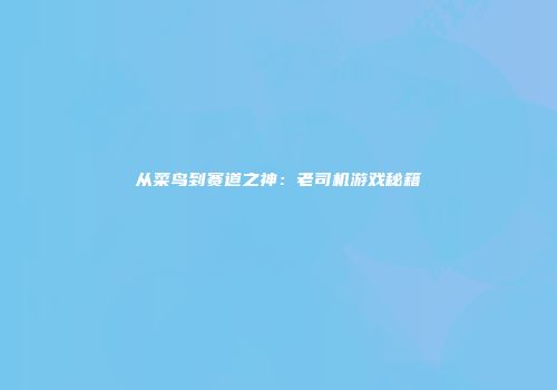 从菜鸟到赛道之神：老司机游戏秘籍