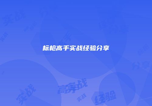 标枪高手实战经验分享