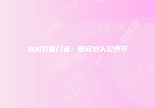 农村致富门道：田间地头见真章