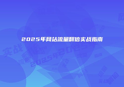 2025年网站流量翻倍实战指南