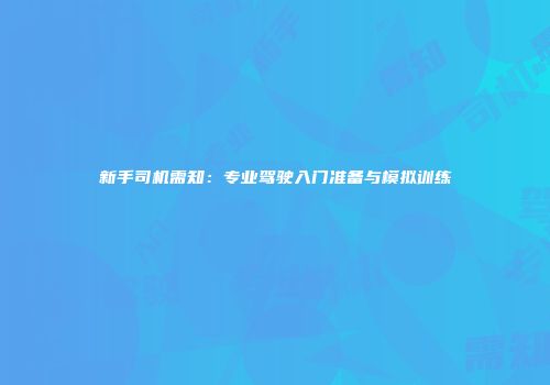 新手司机需知：专业驾驶入门准备与模拟训练