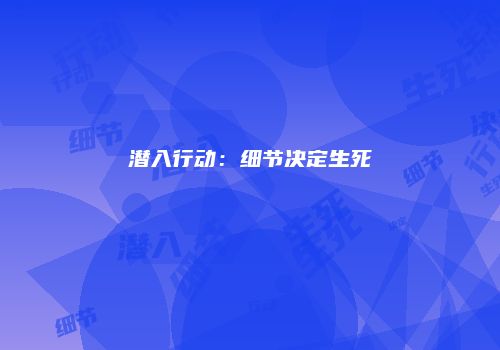 潜入行动：细节决定生死