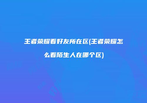 王者荣耀看好友所在区(王者荣耀怎么看陌生人在哪个区)