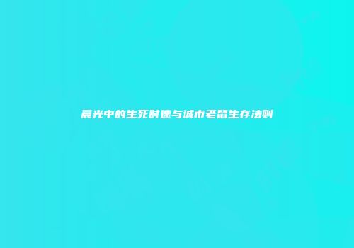 晨光中的生死时速与城市老鼠生存法则