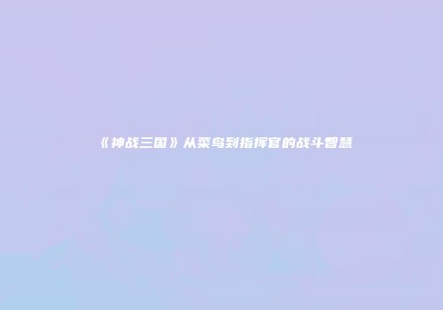 《神战三国》从菜鸟到指挥官的战斗智慧